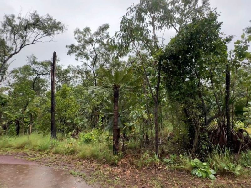 Northern Territory Monsoon season